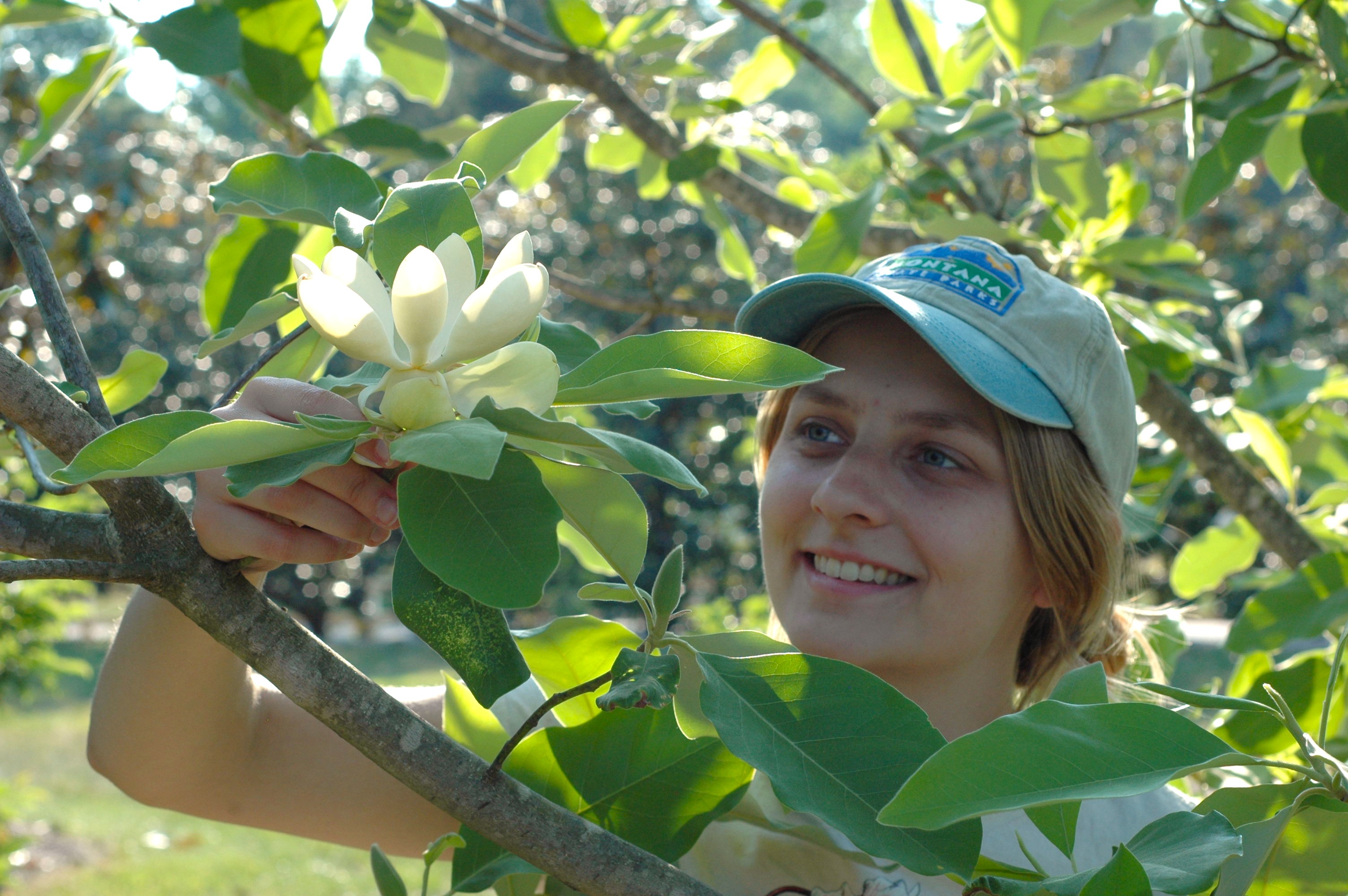 Piper Cole looks at a magnolia flower through tree branches