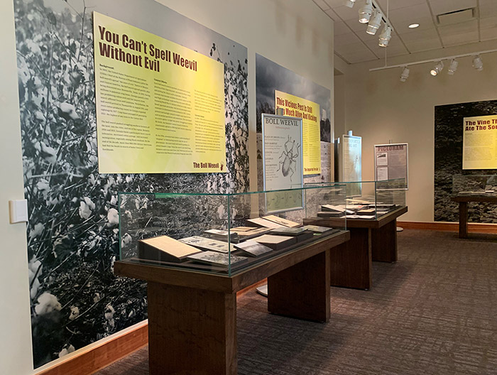 Image of exhibit, with large photo of cotton field and sign "You can't spell weevil without evil"