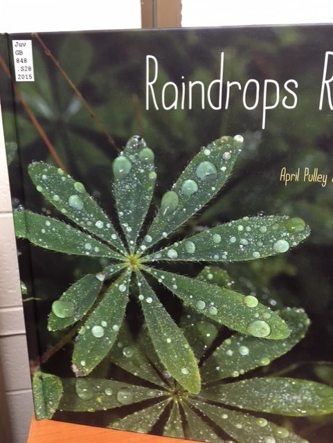 Cover art for Raindrops Roll, featuring two large green leaves covered in rain drops.