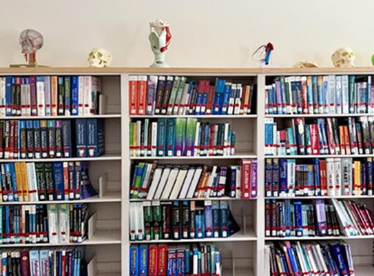 shelf of resources from medical library