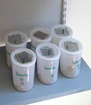 Containers of samples