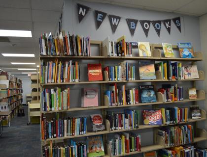 Display of new books at the Curriculum Materials Library