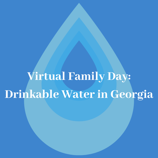 Virtual Family Day: Drinkable Water in Georgia