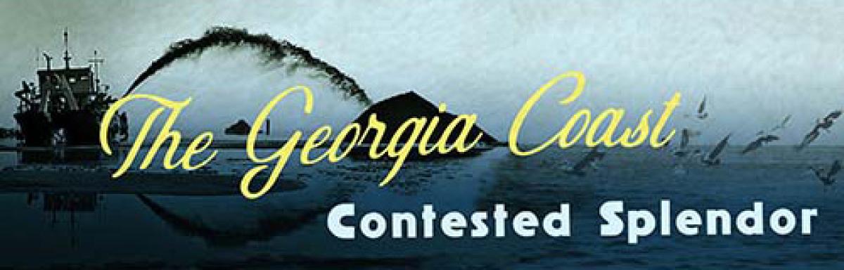 The Georgia Coast: Contested Splendor