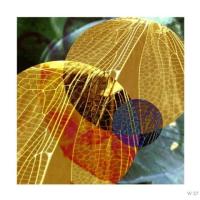 Artistic image of yellow overlapping circles with leaf-like veins and other colors